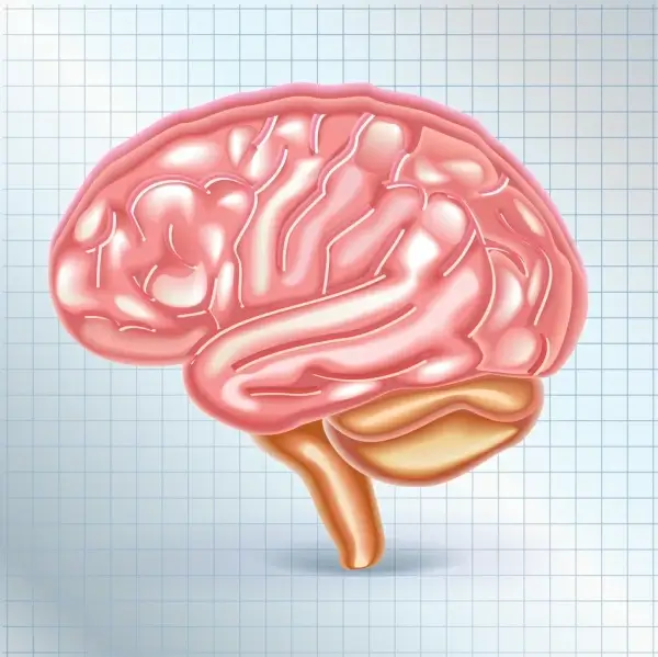 brain icon shiny pink design