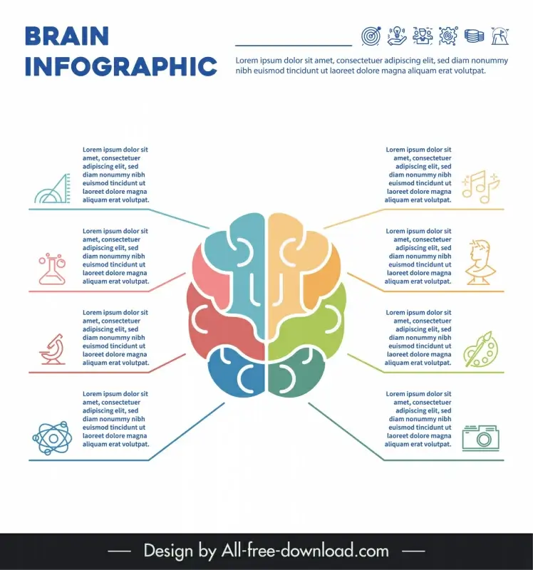 brain infographic template flat symmetry layout
