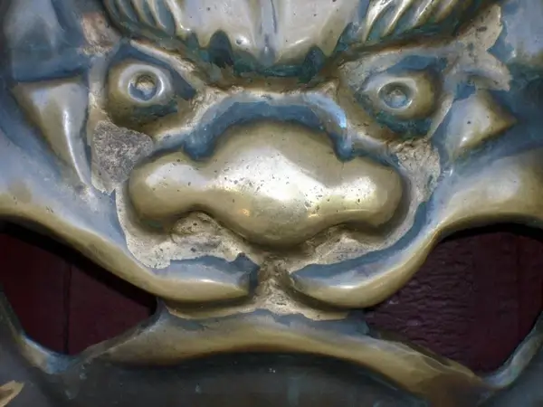 brass china door handle