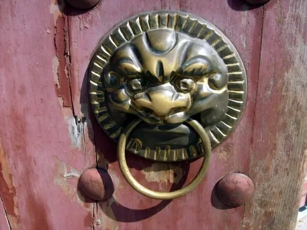 brass door knocker