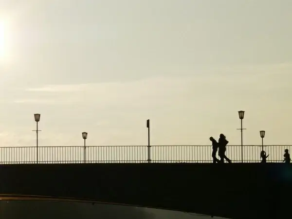 bridge human profile