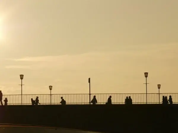 bridge human profile