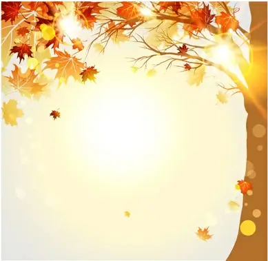 bright autumn leaf backgrounds vector set