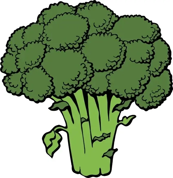 Broccoli clip art