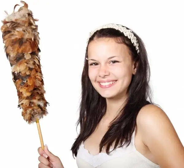 brush cleaner cleaning