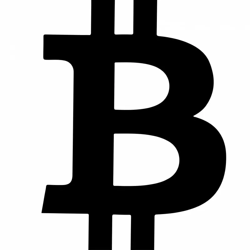 btc sign icon flat silhouette sketch