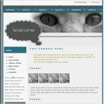 Pets Web templates in .html .css .js format free and easy download ...