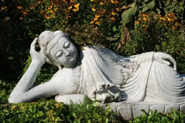 buddha statue fig