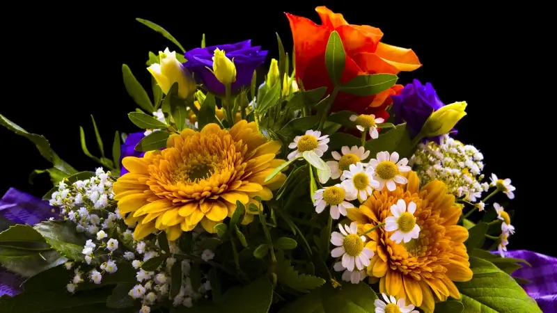 bunch of flowers picture elegant contrast