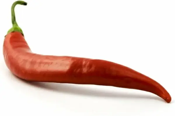 burn burning chili