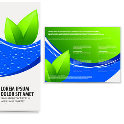 business brochure and card vector set