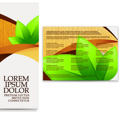 business brochure and card vector set