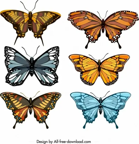 butterflies icons collection colorful modern design