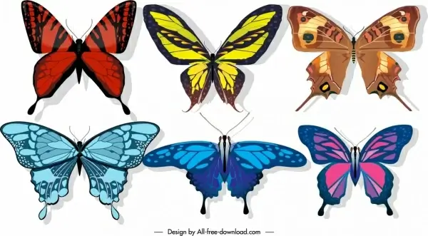 butterflies icons colorful wings decor