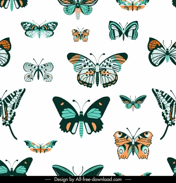 butterflies species pattern colorful flat decor