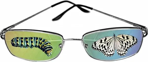 butterfly glasses