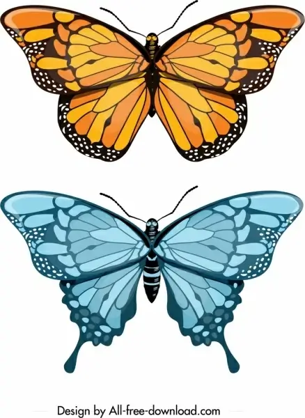 butterfly icons yellow blue decor modern design