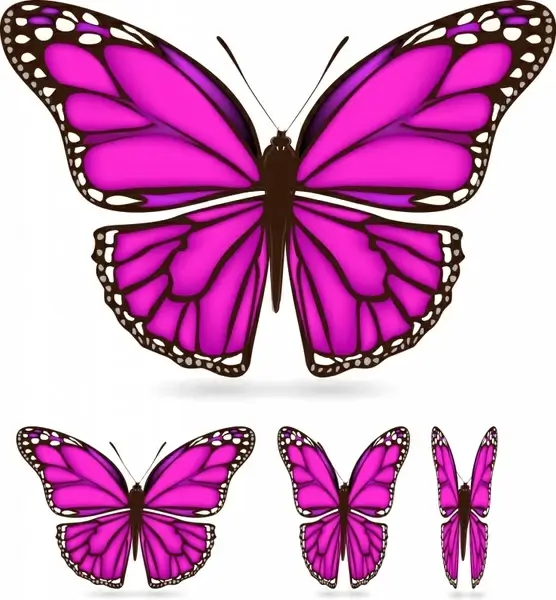 butterfly icons violet decor modern sketch