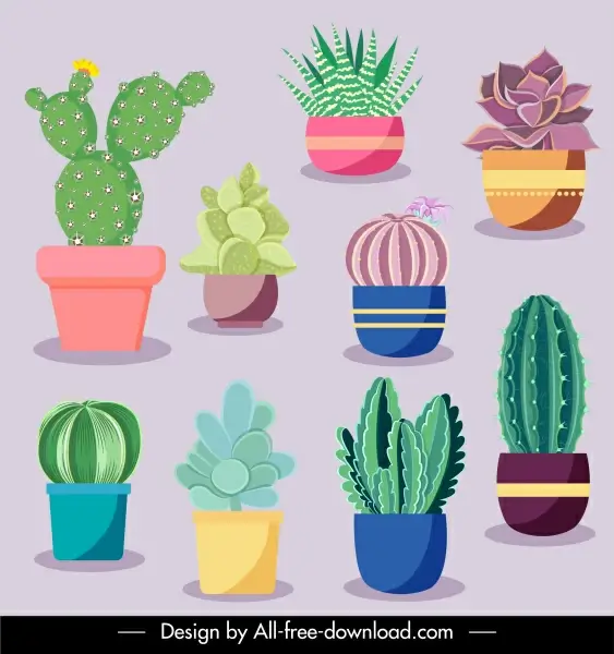cacti flowerpot icons elegant colored classic flat sketch