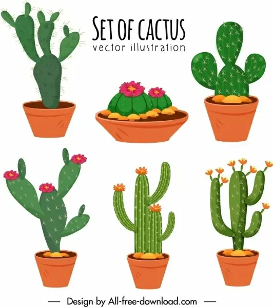 cactus pots icons colorful classical design