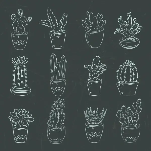 cactus pots icons dark design handdrawn decoration