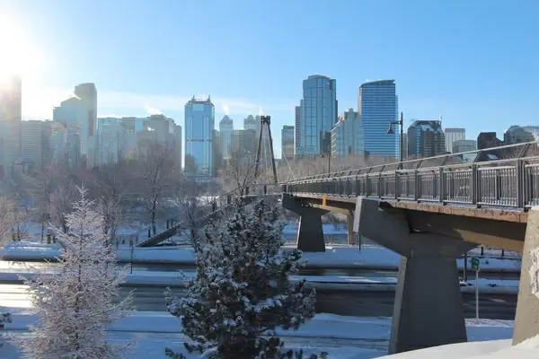 calgary new years walk round 2014