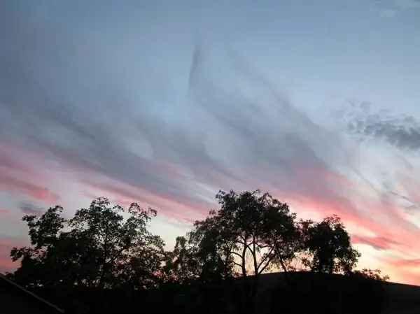 california sunset