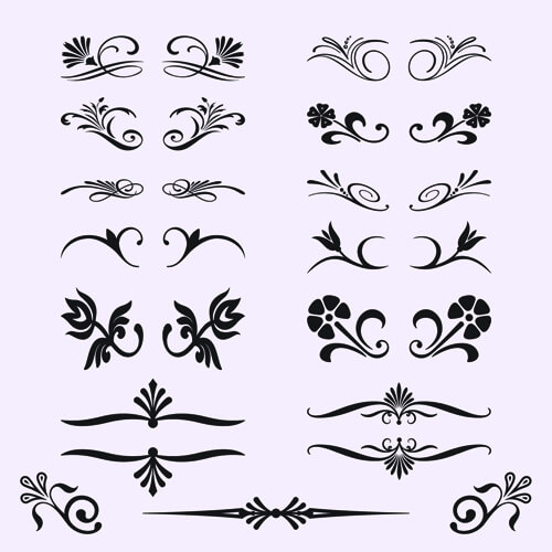 calligraphic with border ornament vector