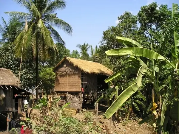 cambodia hut palm trees