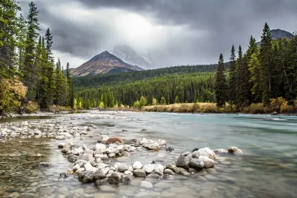 beautiful tranquil stream line near mountain scape