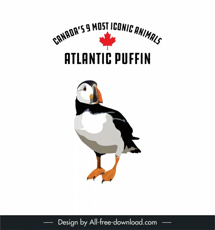 canadian 9 most iconic animal icon atlantic puffin bird sketch 