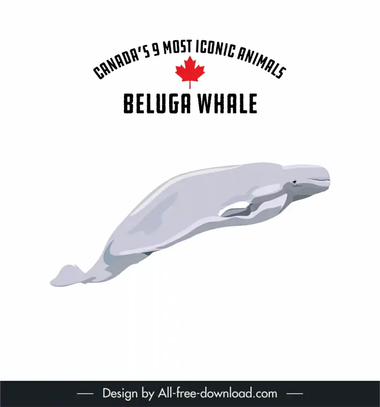 canadian animal beluga whale icon dynamic cartoon sketch 