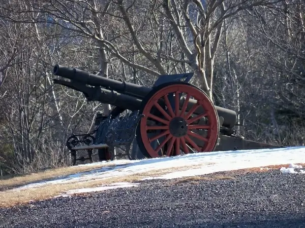 cannon