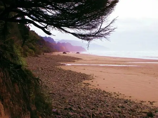 cannon beach oregon coastline