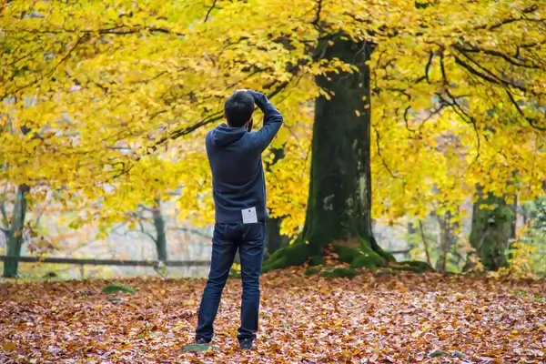 capture autumn