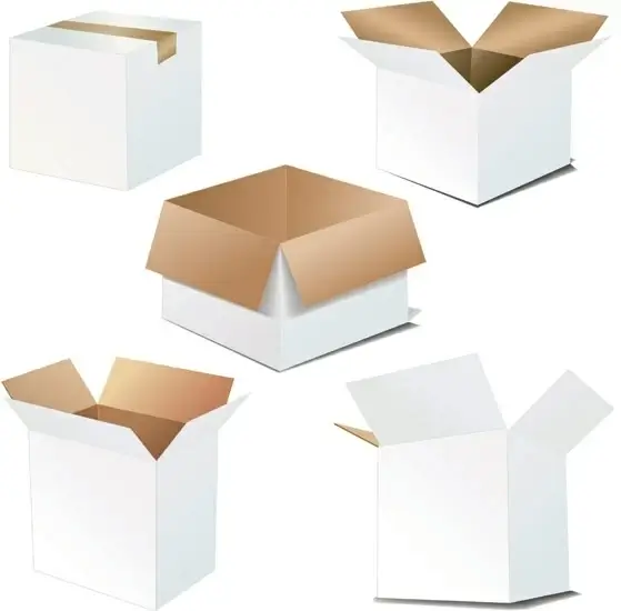 cardboard carton blank vector