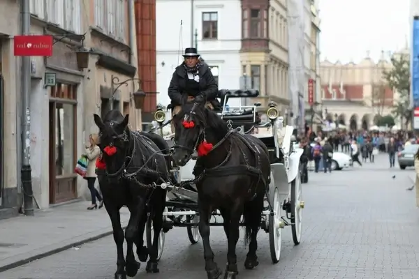 carriage ride