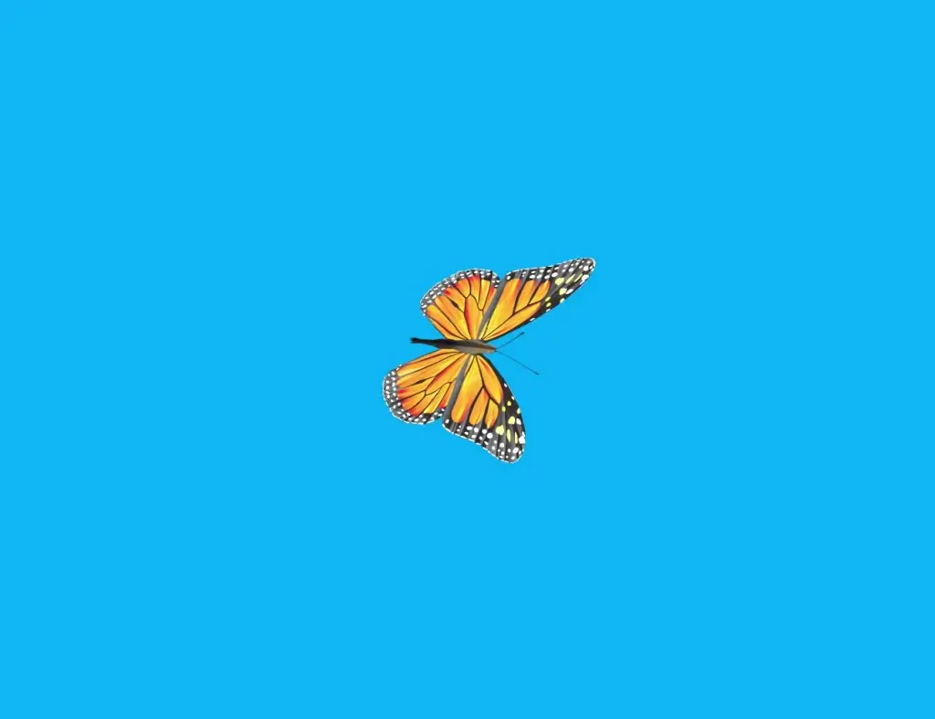 cartoon of butterfly flying on blue background