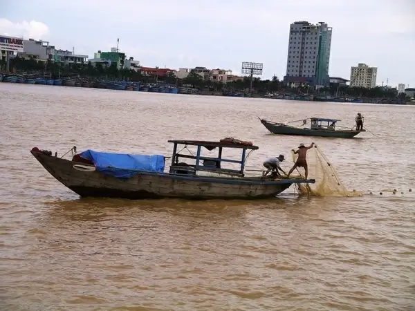 catching fish