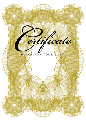 certificate lace frames design vector