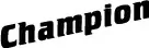 Champion logo3