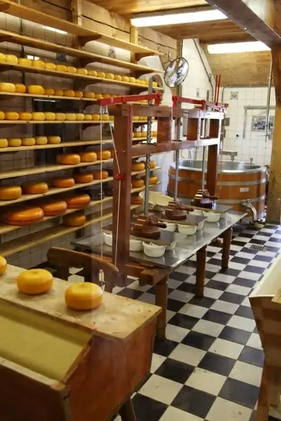 cheese production