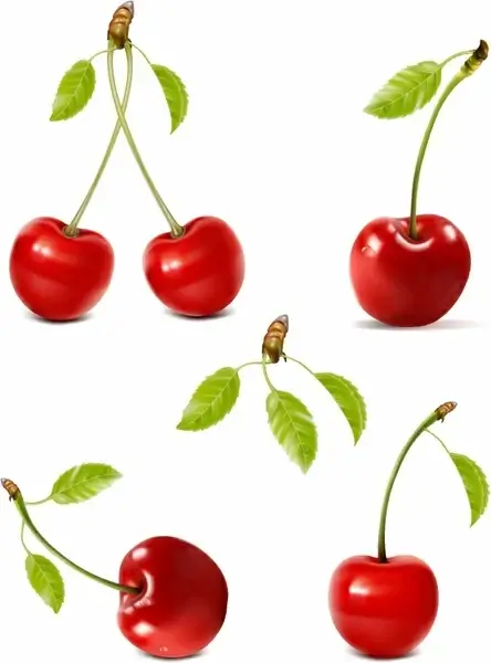 Cherries with water drops