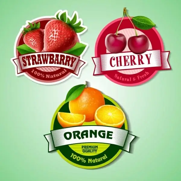 cherry with strawberry and orange labels vector