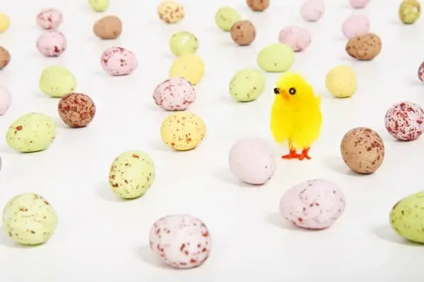 chicken and eggs
