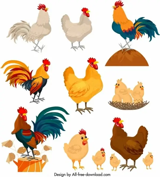 chicken icons collection colorful cartoon characters design