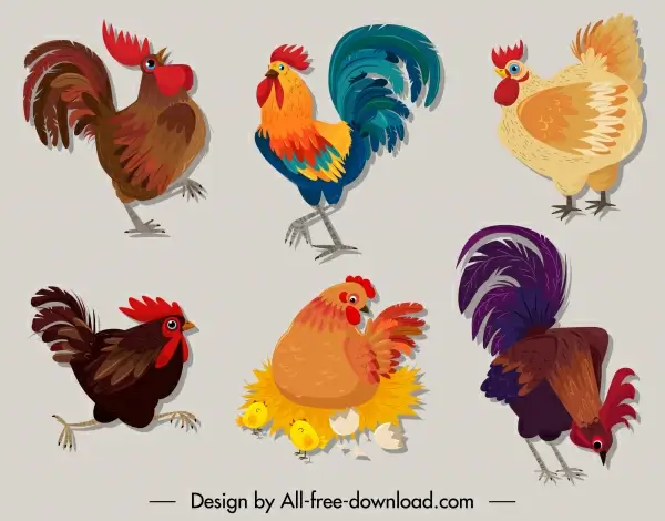 chicken icons colorful classic sketch