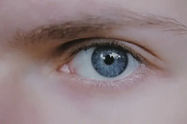 child eyeball eyebrows eyelash eyes eyeshadow