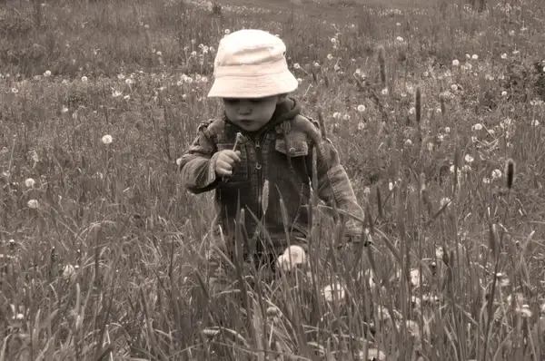 child in the meadow