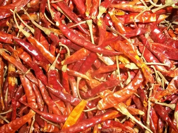 chili